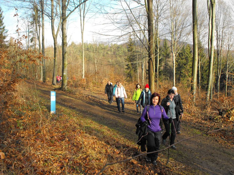 Wycieczka w Góry Bardzkie s002 - PTTK Strzelin