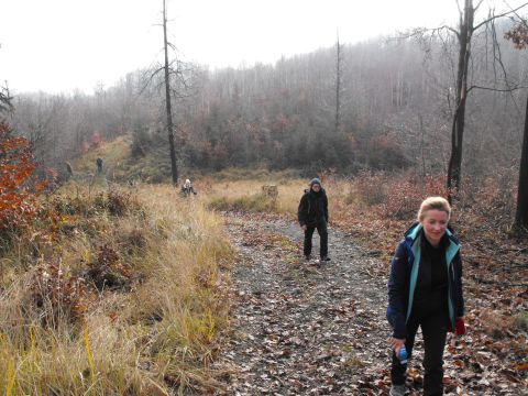 Wycieczka w Góry Bardzkie s37 - PTTK Strzelin
