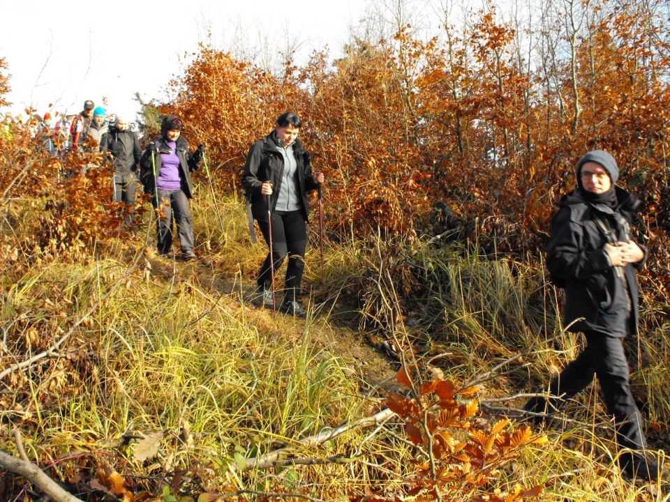 Wycieczka w Góry Bardzkie s002 - PTTK Strzelin
