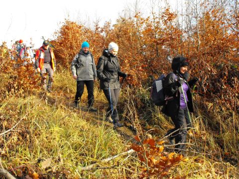 Wycieczka w Góry Bardzkie s45 - PTTK Strzelin