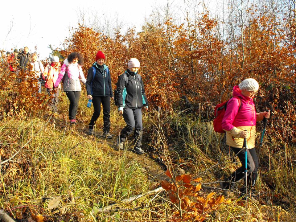 Wycieczka w Góry Bardzkie s002 - PTTK Strzelin