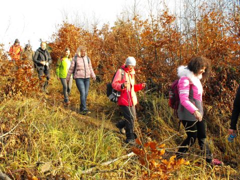Wycieczka w Góry Bardzkie s48 - PTTK Strzelin