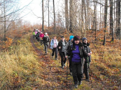 Wycieczka w Góry Bardzkie s53 - PTTK Strzelin