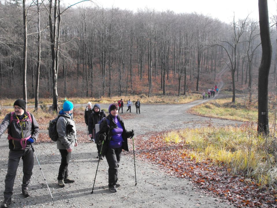 Wycieczka w Góry Bardzkie s002 - PTTK Strzelin