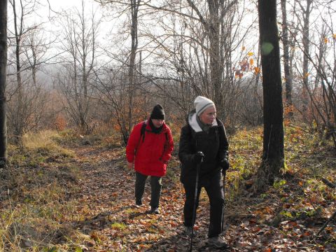 Wycieczka w Góry Bardzkie s57 - PTTK Strzelin