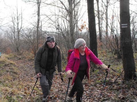 Wycieczka w Góry Bardzkie s60 - PTTK Strzelin
