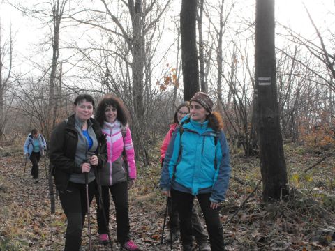 Wycieczka w Góry Bardzkie s61 - PTTK Strzelin