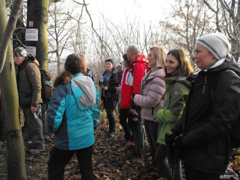 Wycieczka w Góry Bardzkie s65 - PTTK Strzelin