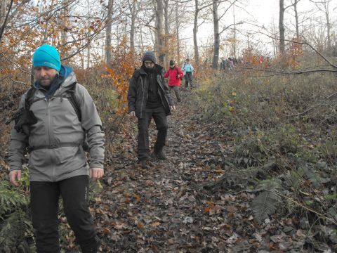 Wycieczka w Góry Bardzkie s67 - PTTK Strzelin