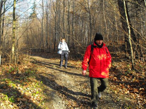 Wycieczka w Góry Bardzkie s69 - PTTK Strzelin