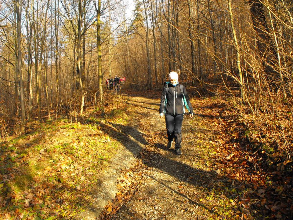 Wycieczka w Góry Bardzkie s002 - PTTK Strzelin
