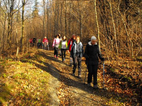 Wycieczka w Góry Bardzkie s71 - PTTK Strzelin