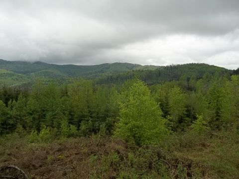 Kłodzka Góra w Górach Bardzkich s1 - PTTK Strzelin