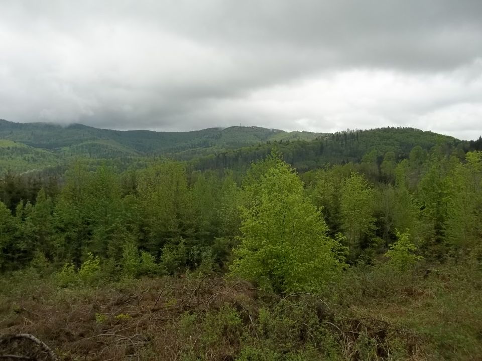 Kłodzka Góra w Górach Bardzkich s002 - PTTK Strzelin