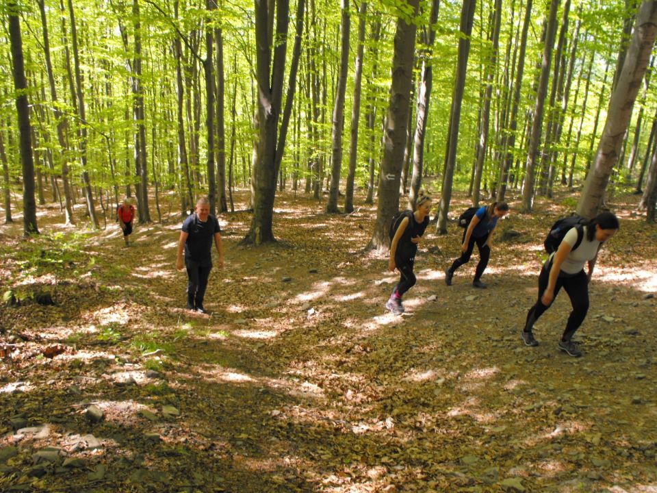 Wycieczka w Beskid Mały s002 - PTTK Strzelin