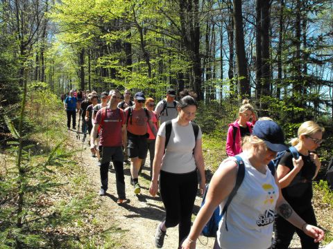 Wycieczka w Beskid Mały s45 - PTTK Strzelin