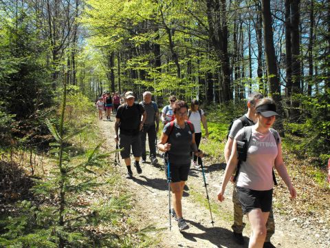 Wycieczka w Beskid Mały s46 - PTTK Strzelin