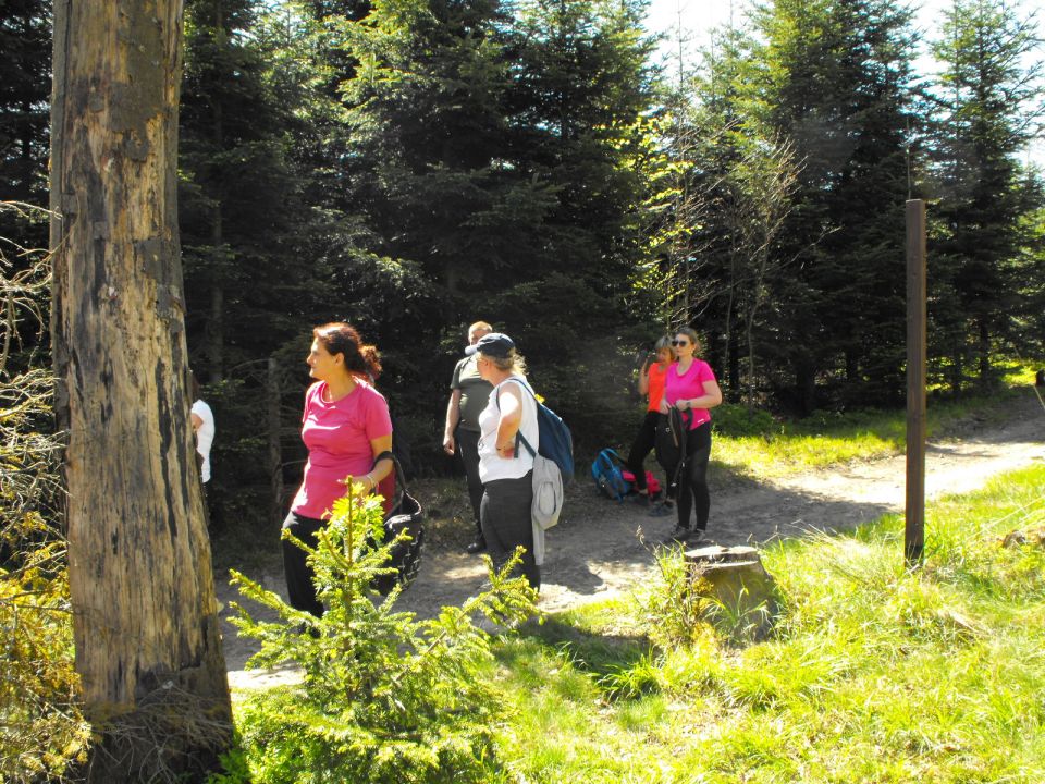 Wycieczka w Beskid Mały s002 - PTTK Strzelin