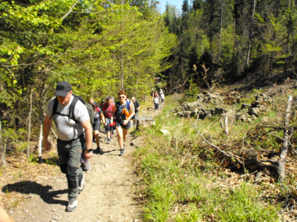 Wycieczka w Beskid Mały s002 - PTTK Strzelin