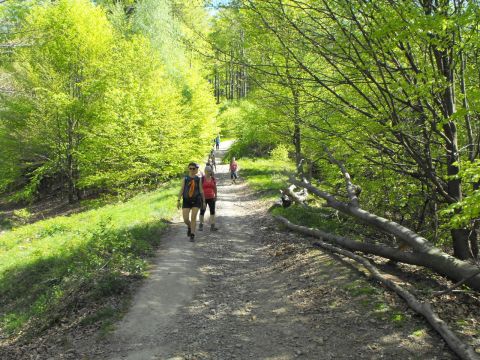 Wycieczka w Beskid Mały s53 - PTTK Strzelin