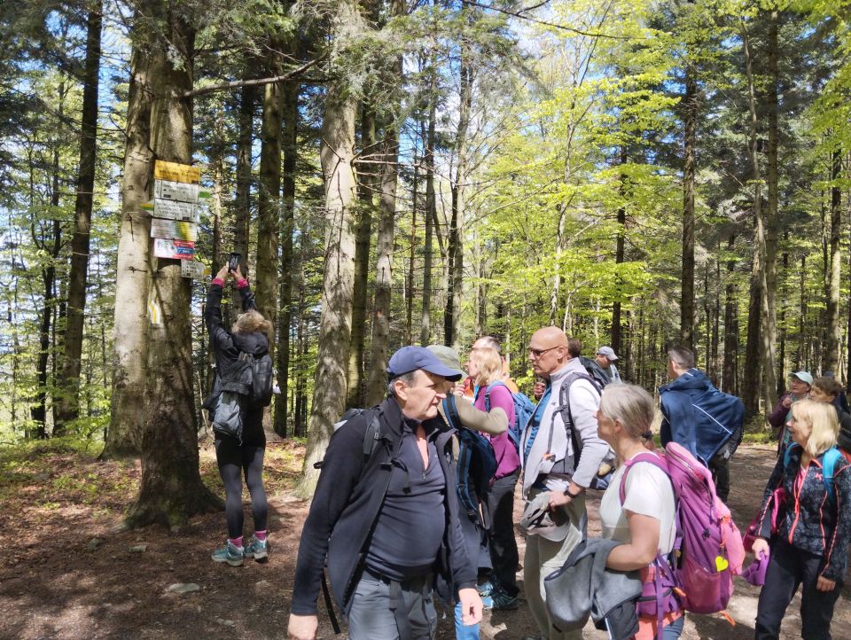 Wycieczka w Beskid Mały s002 - PTTK Strzelin
