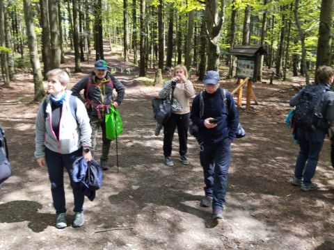 Wycieczka w Beskid Mały s38 - PTTK Strzelin