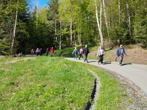 Wycieczka w Beskid Mały s88 - PTTK Strzelin