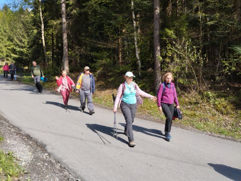 Wycieczka w Beskid Mały s94 - PTTK Strzelin