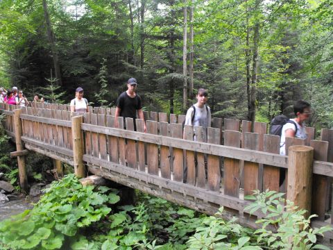Wycieczka beskid żywiecki s20 - PTTK Strzelin