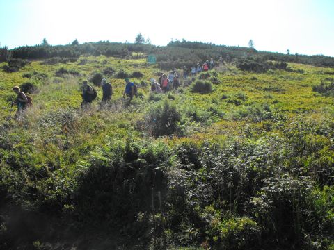 Wycieczka beskid żywiecki s110 - PTTK Strzelin