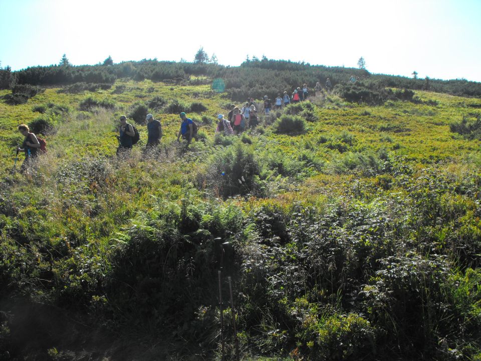 Wycieczka beskid żywiecki s002 - PTTK Strzelin