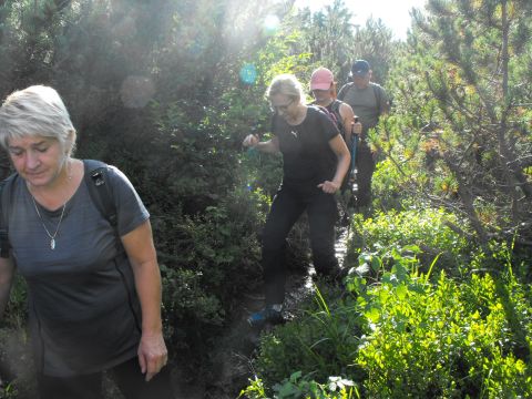 Wycieczka beskid żywiecki s115 - PTTK Strzelin