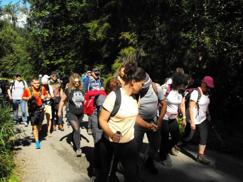 Wycieczka beskid żywiecki s3 - PTTK Strzelin