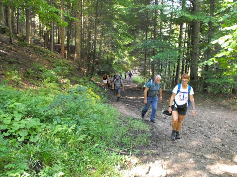 Wycieczka beskid żywiecki s8 - PTTK Strzelin