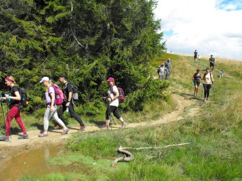 Wycieczka beskid żywiecki s46 - PTTK Strzelin