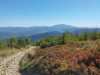 Wycieczka w Beskid Żywiecki - Romanka