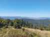 Wycieczka w Beskid Żywiecki - Romanka