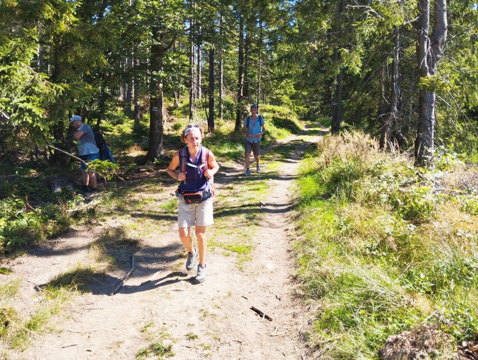 Wycieczka w Beskid Żywiecki dz19 - PTTK Strzelin