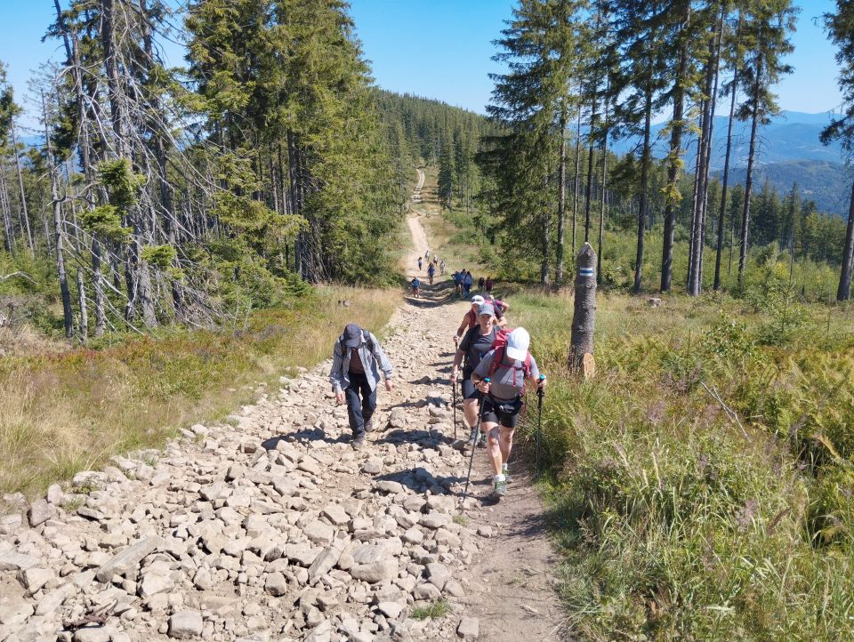 Wycieczka w Beskid Żywiecki dz34 - PTTK Strzelin