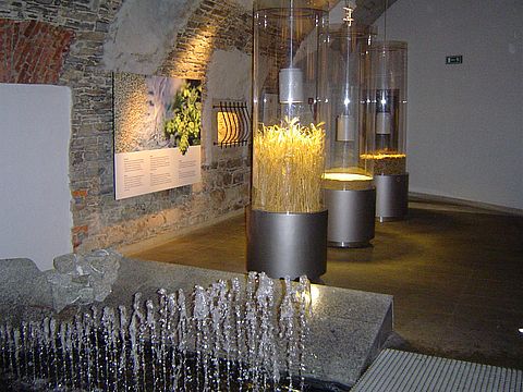 �ywiec - Muzeum Browaru s003 - PTTK Strzelin