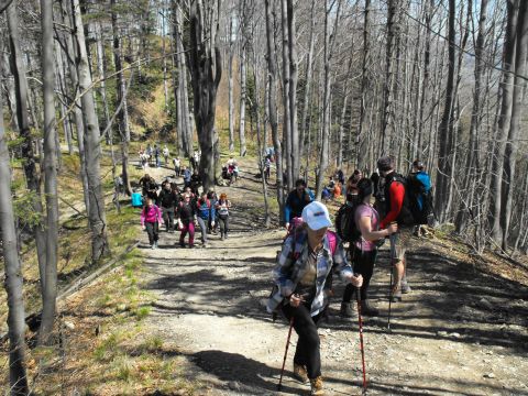 Wycieczka w Beskid Śląski s45 - PTTK Strzelin