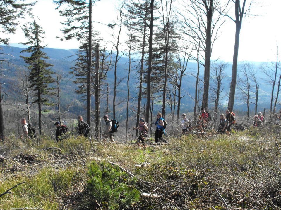 Wycieczka w Beskid Śląski s002 - PTTK Strzelin