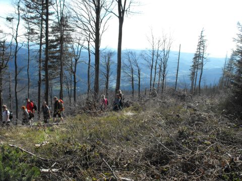 Wycieczka w Beskid Śląski s128 - PTTK Strzelin