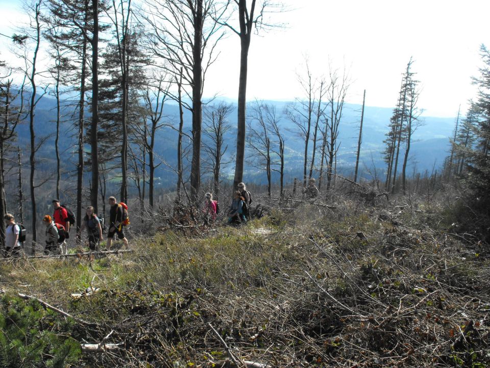 Wycieczka w Beskid Śląski s002 - PTTK Strzelin