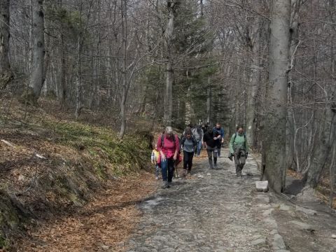 Wycieczka w Beskid Śląski s72 - PTTK Strzelin