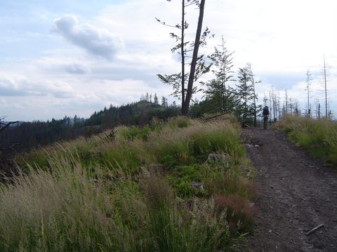 Ob�z w�drowny - podej�cie na Smerekowiec