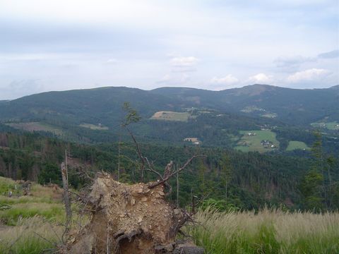 Panorama ze szczytu Smerekowiec