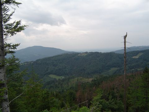 Panorama ze szczytu Smerekowiec