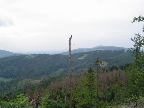 Panorama ze szczytu Smerekowiec