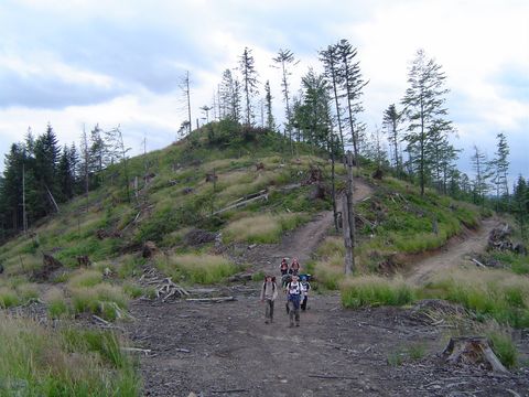 Ob�z w�drowny - Smerekowiec